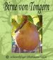 Preview: Zwerg-Birnenbaum (Zwergbirne) "Birne von Tongern" - Herbstbirne!