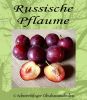 Pflaumenbaum, Pflaume "Russische Pflaume"