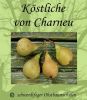 Birnenbaum, Herbstbirne "Köstliche von Charneux"